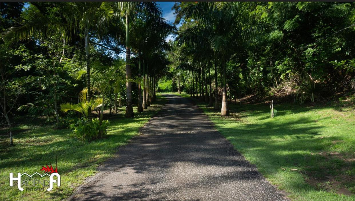 Hacienda Tres Casitas Guest House Cabo Rojo Ngoại thất bức ảnh
