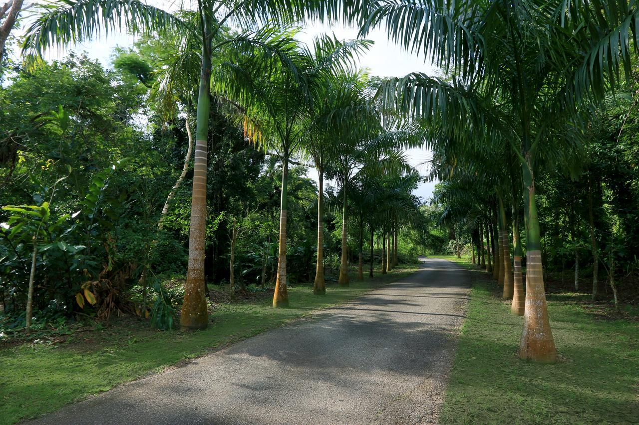 Hacienda Tres Casitas Guest House Cabo Rojo Ngoại thất bức ảnh